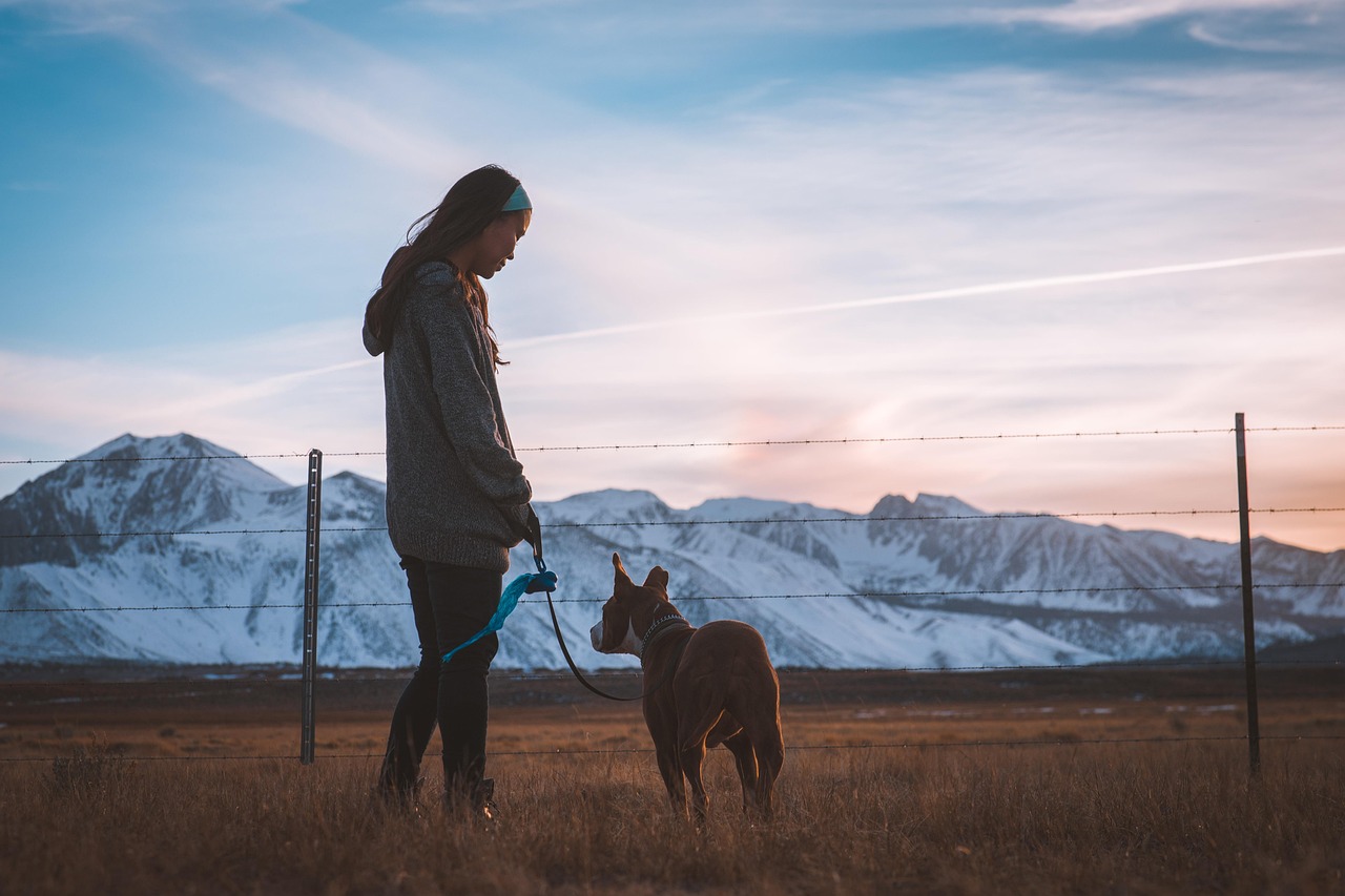 Responsible dog owner walking a leashed dog